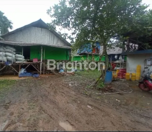 image LAHAN SIAP DIGARAP (5)