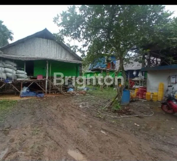 image LAHAN SIAP DIGARAP (3)