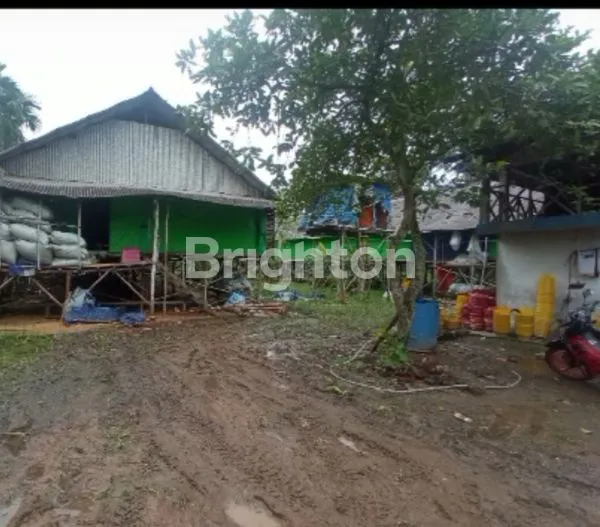 image LAHAN SIAP DIGARAP (2)