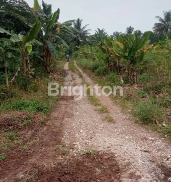 image LAHAN SIAP DIGARAP (1)