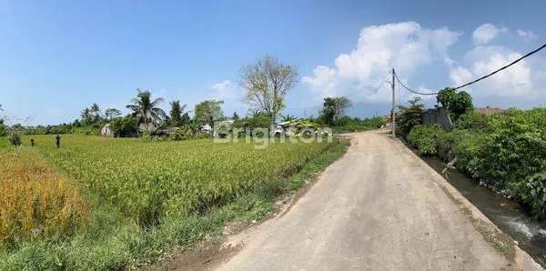 Dijual tanah di depan TPA Gianyar 800 juta 400m2