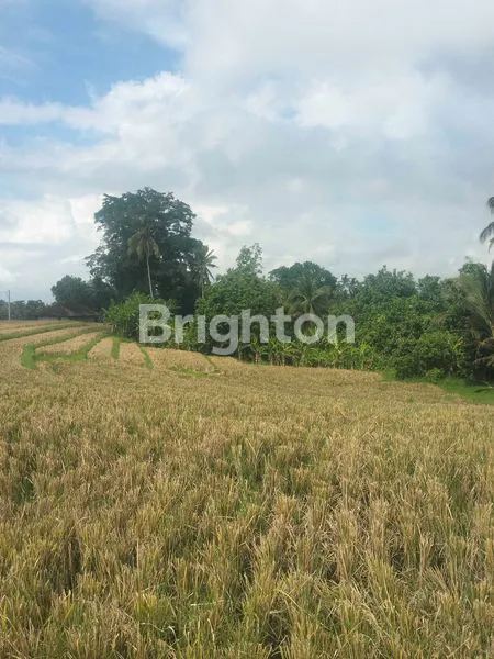 TANAH DAERAH TABANAN