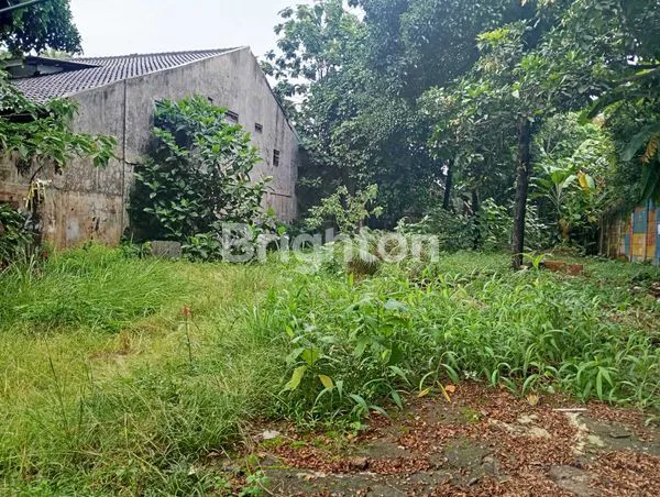 Tanah Luas Pinggir Jalan Ramai Strategis Untuk Usaha & Hunian