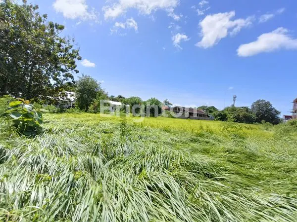 image TANAH PREMIUM LEASEHOLD LUAS TOTAL 28,5 ARE, MINIMAL 10 ARE. STRATEGIS & EKSLUSIF DI JIMBARAN DEKAT KE TOL (7)