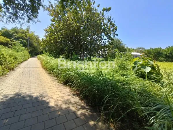 image TANAH PREMIUM LEASEHOLD LUAS TOTAL 28,5 ARE, MINIMAL 10 ARE. STRATEGIS & EKSLUSIF DI JIMBARAN DEKAT KE TOL (3)