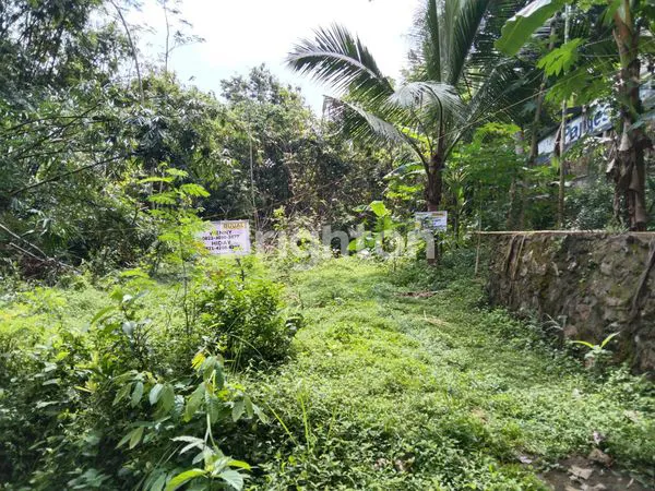 Pekarangan dekat next kampus UIN Pajangan