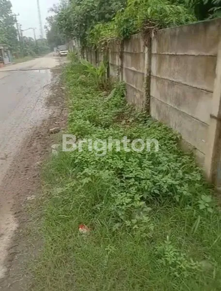 image LAHAN CISAUK TANGSEL (1)