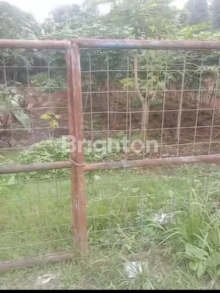 image LAHAN CISAUK TANGSEL (2)