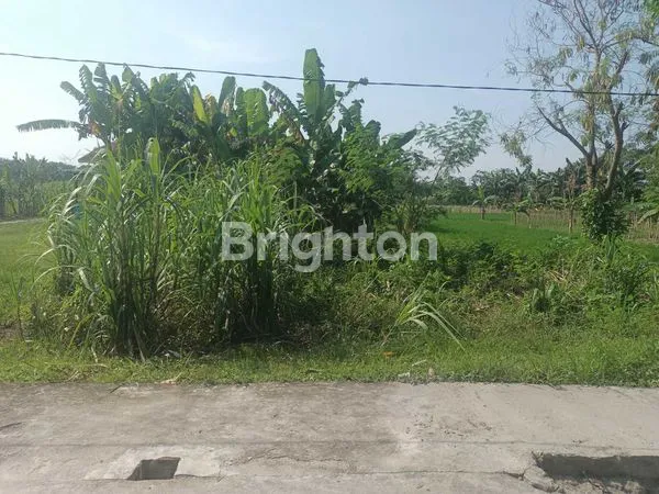 image TANAH DI DESA PASAR 6 KUALANAMU BERINGIN  (1)