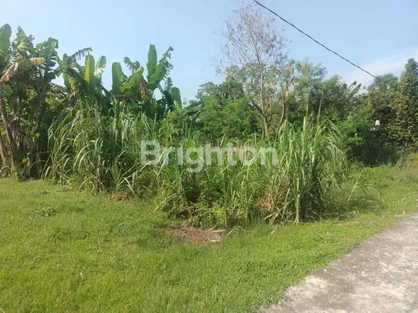 image TANAH DI DESA PASAR 6 KUALANAMU BERINGIN  (4)