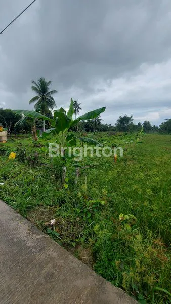 TANAH LUAS DI TERITIP BALIKPAPAN - LOKASI PREMIUM DI TEPI PANTAI DAN AKSES JALAN UTAMA