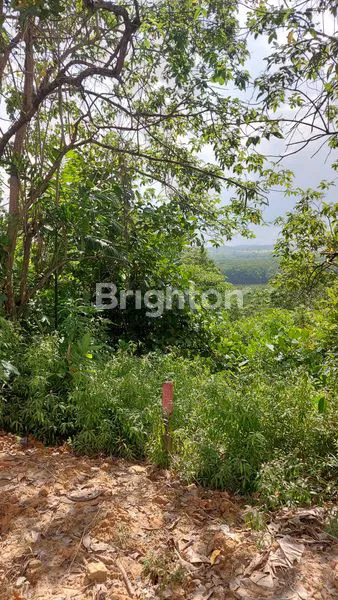 TANAH DI AREA INDUSTRI KARIANGAU