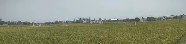 image TANAH LUAS MATANG TEGAL LUAR KAB BANDUNG (6)