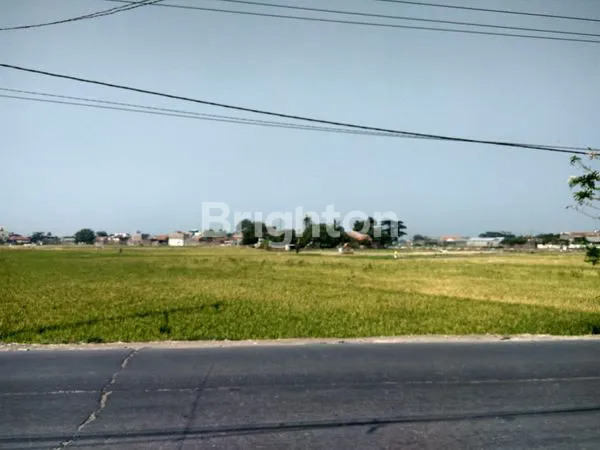 image TANAH LUAS MATANG TEGAL LUAR KAB BANDUNG (5)