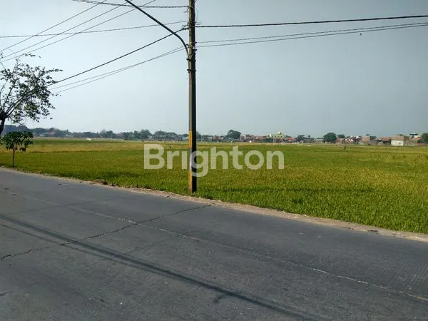 image TANAH LUAS MATANG TEGAL LUAR KAB BANDUNG (4)