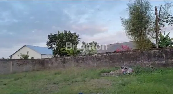 image TANAH 12,5 ARE LOKASI STRATEGIS DI MENGWI (1)