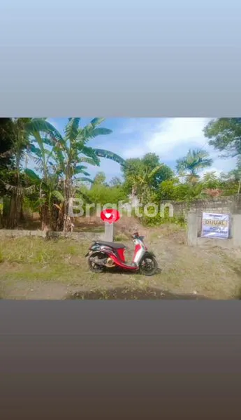 image TANAH LOKASI STRATEGIS COCOK UNTUK BANGUN RUMAH HUNI TAU KOS\"AN DI GUNUNG BATU BOGOR (1)