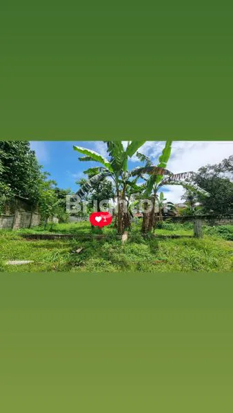 image TANAH LOKASI STRATEGIS COCOK UNTUK BANGUN RUMAH HUNI TAU KOS\"AN DI GUNUNG BATU BOGOR (5)