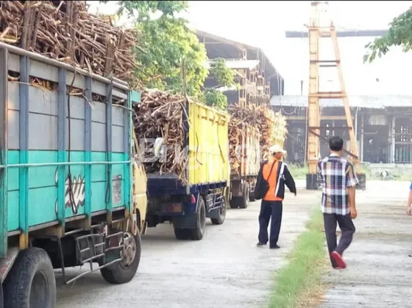 image EX PABRIK GULA KEDIRI DIJUAL CEPAT, PERIJINAN MASIH AKTIF, DAERAH SEKITAR SUDAH BANYAK PABRIK (4)