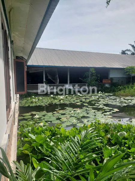 image TANAH DAN GUDANG (7)