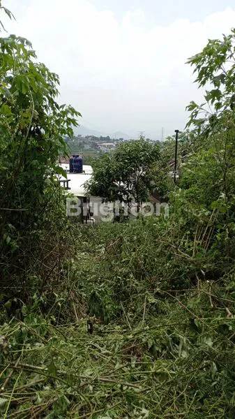 image TANAH DAU  (2)