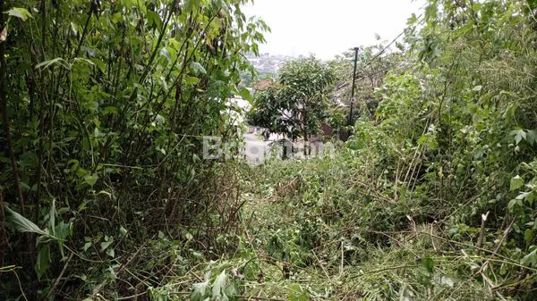 image TANAH DAU  (1)