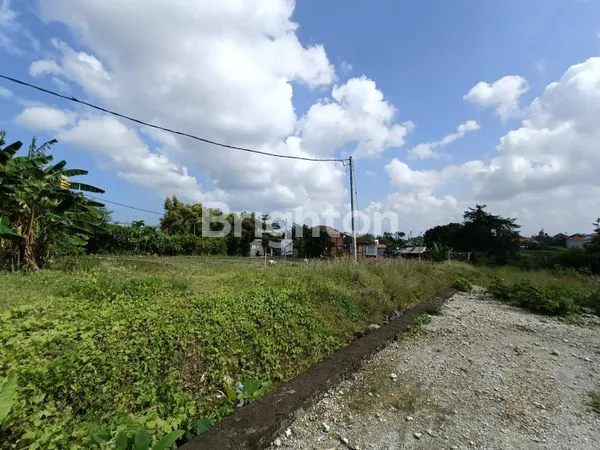 image TANAH SPEK VILLA , MURAH & SIAP BANGUN . SELANGKAH KE PANTAI BERAWE & CANGGU  (3)
