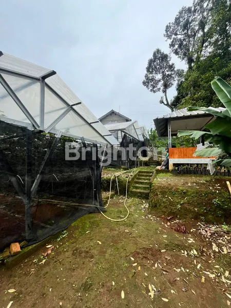 image TANAH LUAS MURAH DIJUAL BONUS VILLA (5)