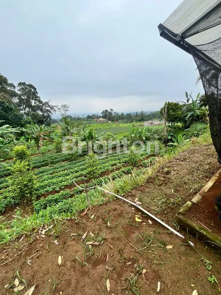 image TANAH LUAS MURAH DIJUAL BONUS VILLA (6)