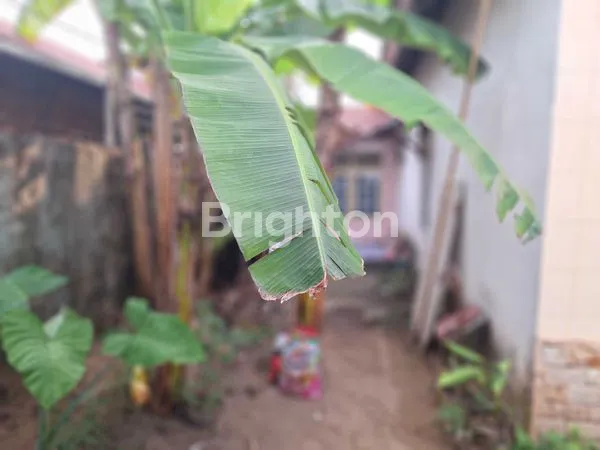 image RUMAH SUTAN SYAHRIR (8)