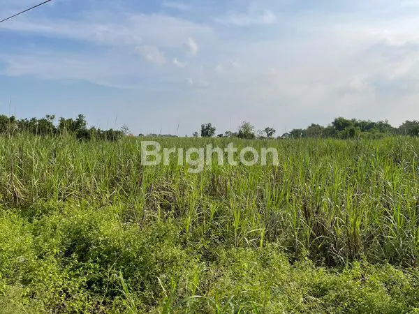 image TANAH JALAN RAYA GLUGU MANTUP LAMONGAN (2)