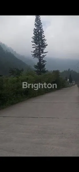 image TANAH LUAS 592M² DI TAWANGMANGU (2)