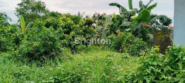 image  TANAH MURAH 15 ARE ABIANBASE LOKASI STRATEGIS (4)