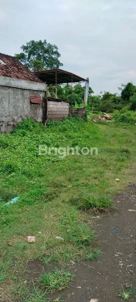 image  TANAH MURAH 15 ARE ABIANBASE LOKASI STRATEGIS (7)