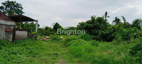 image  TANAH MURAH 15 ARE ABIANBASE LOKASI STRATEGIS (1)