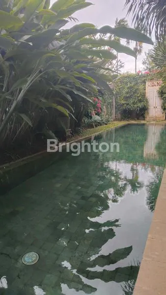 image HUNIAN MEWAH DAN STRATEGIS DI PUSAT KOTA SANUR  (7)