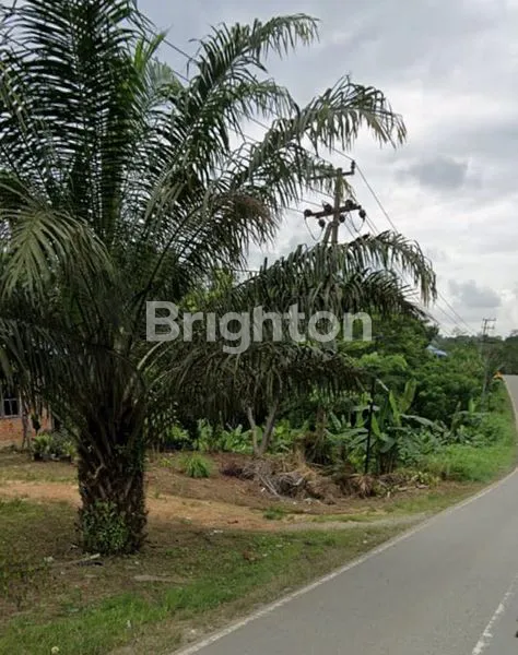 image TANAH DAN RUMAH DIJUAL PINGGIR JALAN BESAR (1)