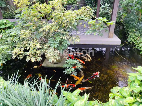 image HUNIAN MEWAH DAN STRATEGIS DI JANTUNG SANUR (7)