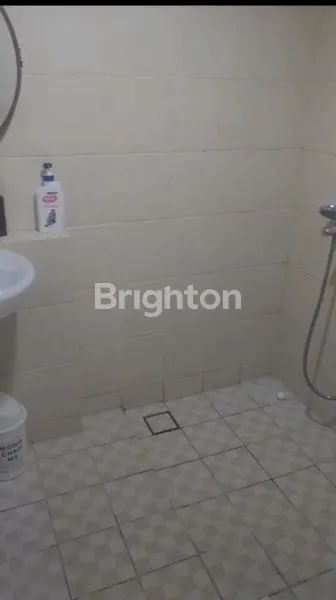 image UC BERKELEY  (4)