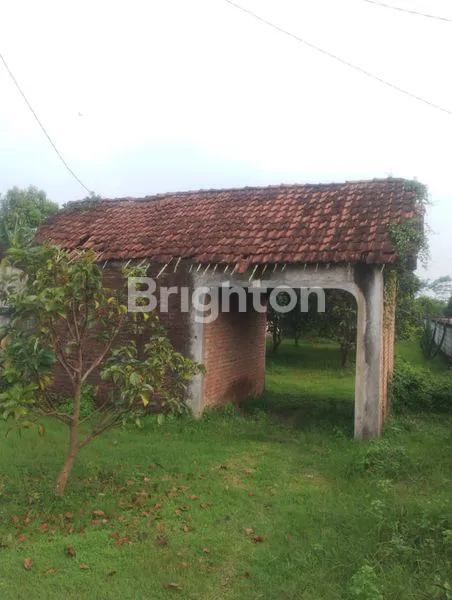 image TANAH KEBUN DI NGANJUK (2)