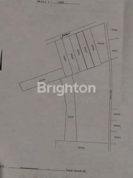 image LAHAN DATAR MURAH. SIAP DIBANGUN UNTUK USAHA DI SAPEN WONOPLUMBON, MIJEN. SEMARANG (4)