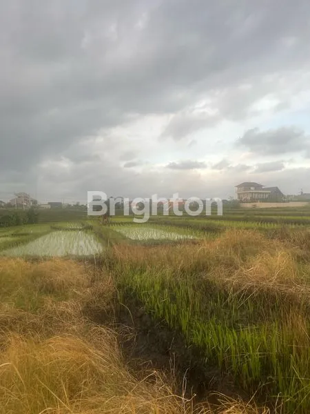 image LAND FOR SALE VIEW PANTAI MENGENING CEMAGI (4)