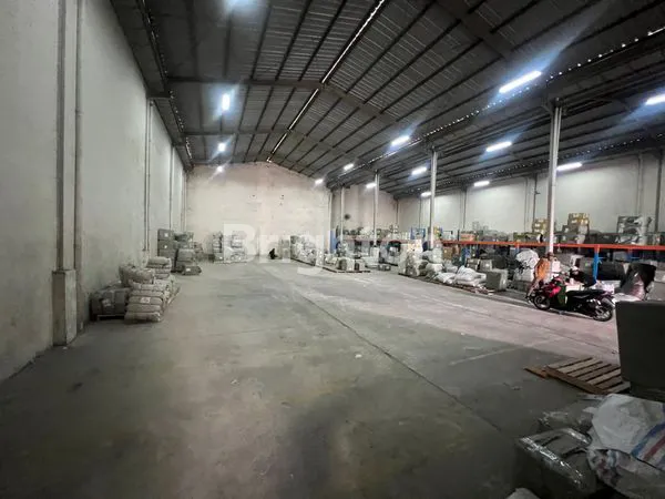 image GUDANG ELANG LAUT GANDENG DEKAT PIK DAN KAPUK (6)