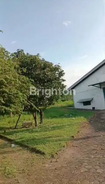 image DIJUAL GUDANG EX PABRIK MOJOKERTO (8)