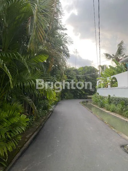 image DISEWAKAN TANAH DI PRERENAN  (4)