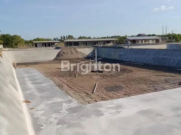 image TAMBAK UDANG DI PANTAI CEMARA KAWANG BANYUWANGI MURAAH (1)