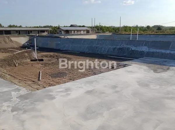 image TAMBAK UDANG DI PANTAI CEMARA KAWANG BANYUWANGI MURAAH (2)