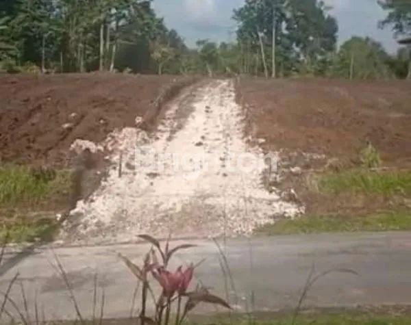image TANAH STRATEGIS AKSES JALAN LEBAR  LOKASI MARGA TABANAN (7)