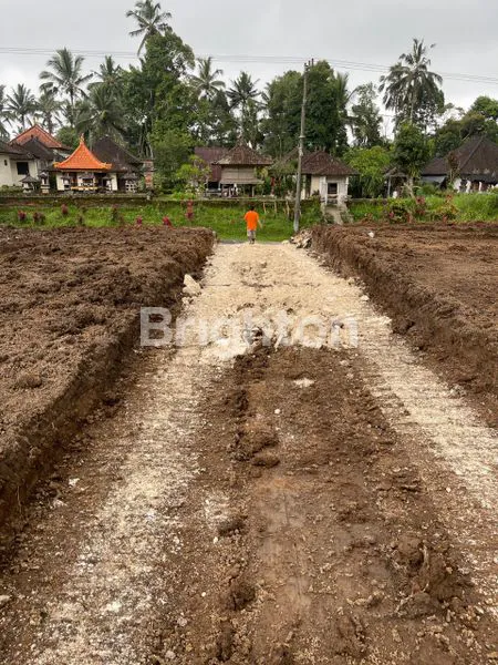image TANAH STRATEGIS AKSES JALAN LEBAR  LOKASI MARGA TABANAN (8)