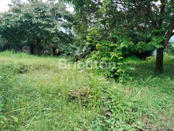 image TANAH DIJUAL/DISEWAKAN DI ATANG SANJAYA BOGOR (3)